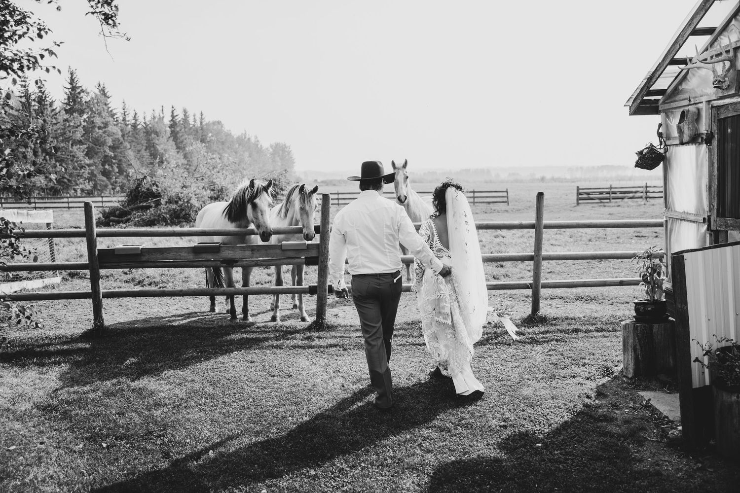 A black and white wedding photo sequence shows two people walking along a rustic wooden fence in a rural setting.