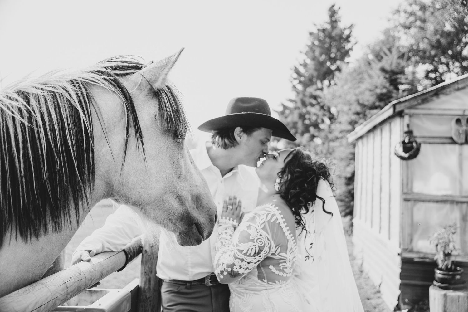 Black and white photo showing a curious white horse peeking in close while a couple shares a romantic moment by a barn.