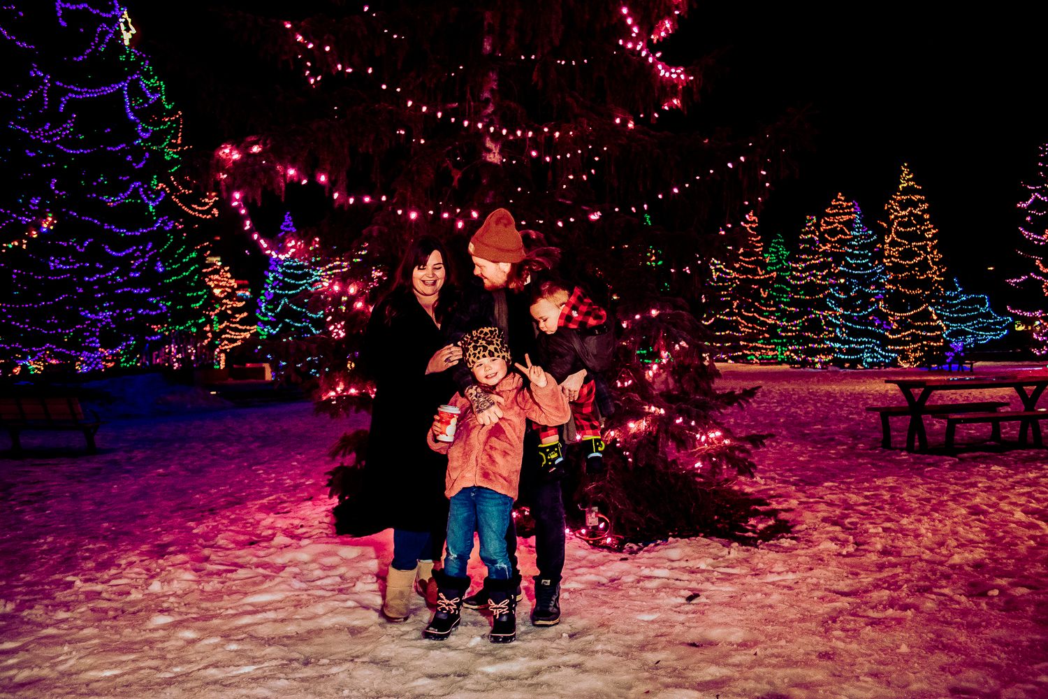 Holiday lights create a magical atmosphere with illuminated Christmas trees in the snowy landscape.
