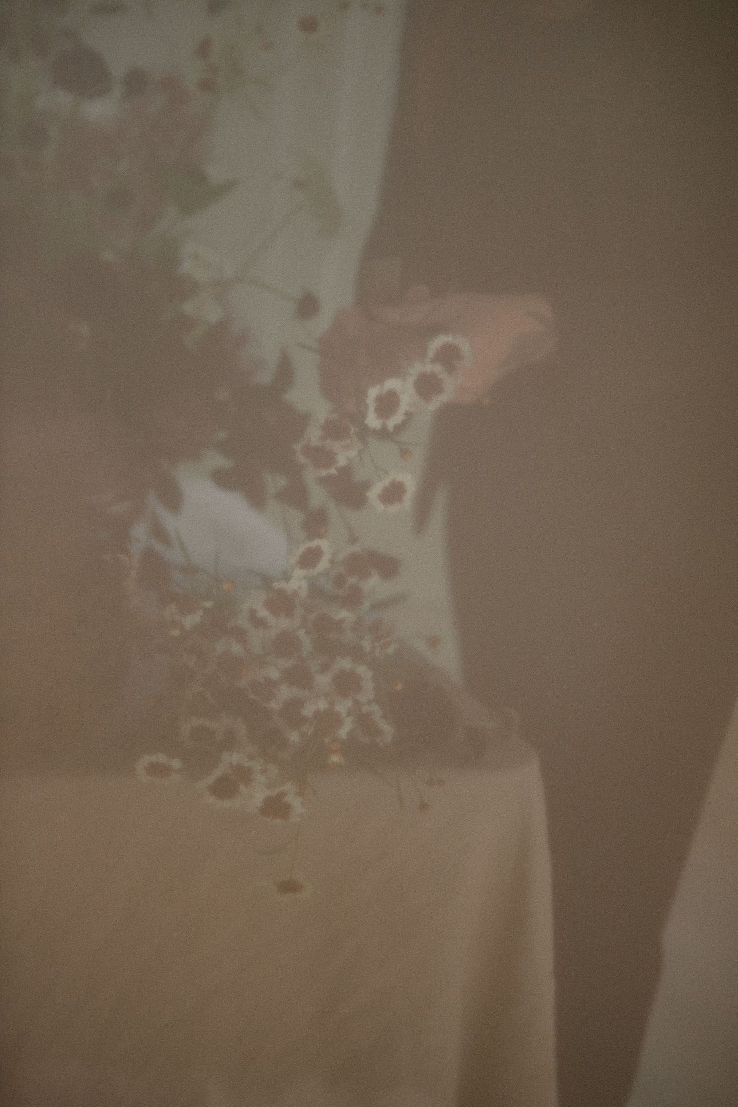 Abstract shadow patterns cast on beige wall creating artistic light effect.