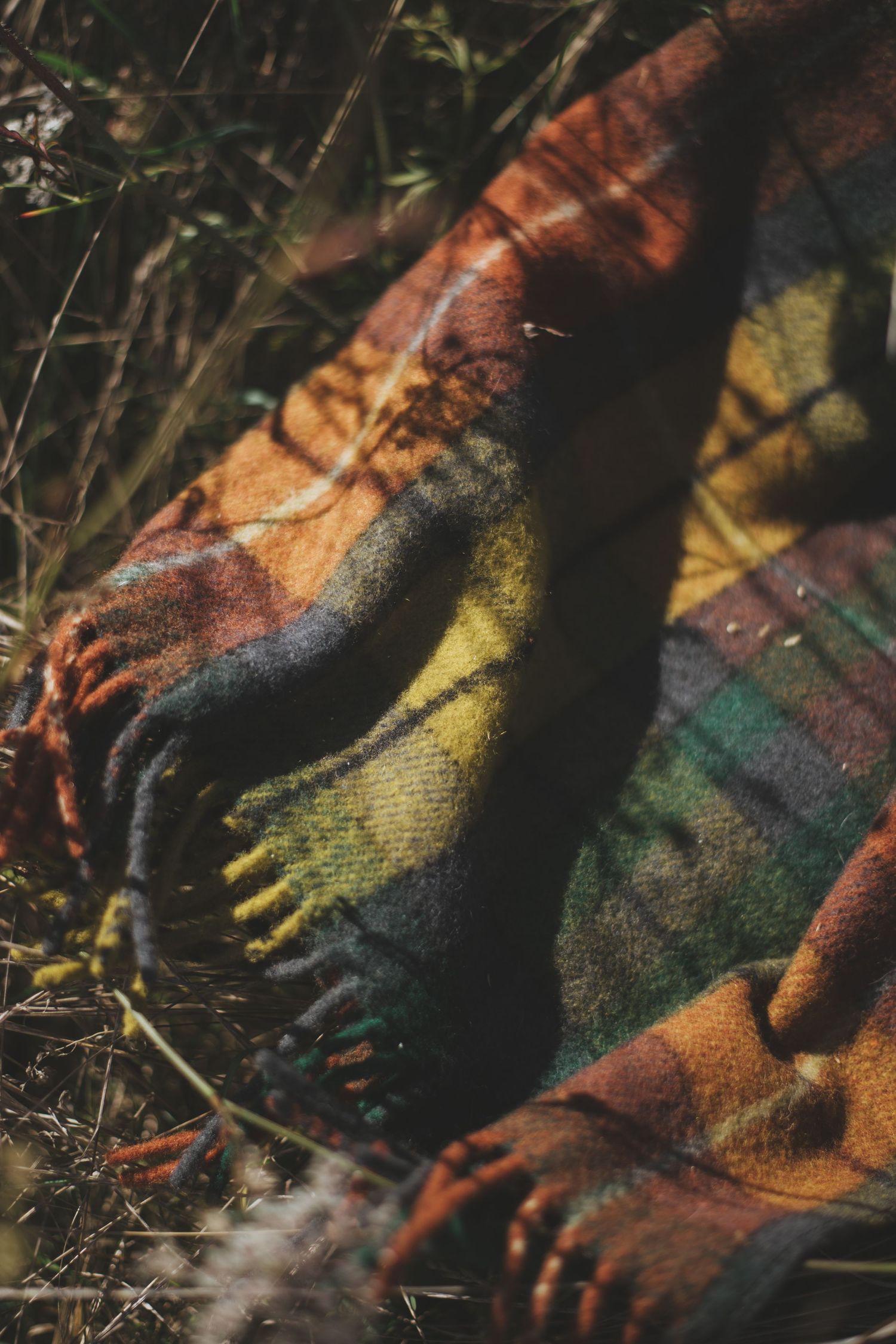 Rainbow colored fabric with textured detail lying in grass and shadows.