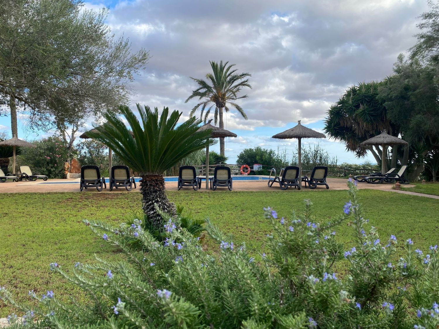 Landscaped resort garden with lounge chairs and palm trees overlooking coastal views.