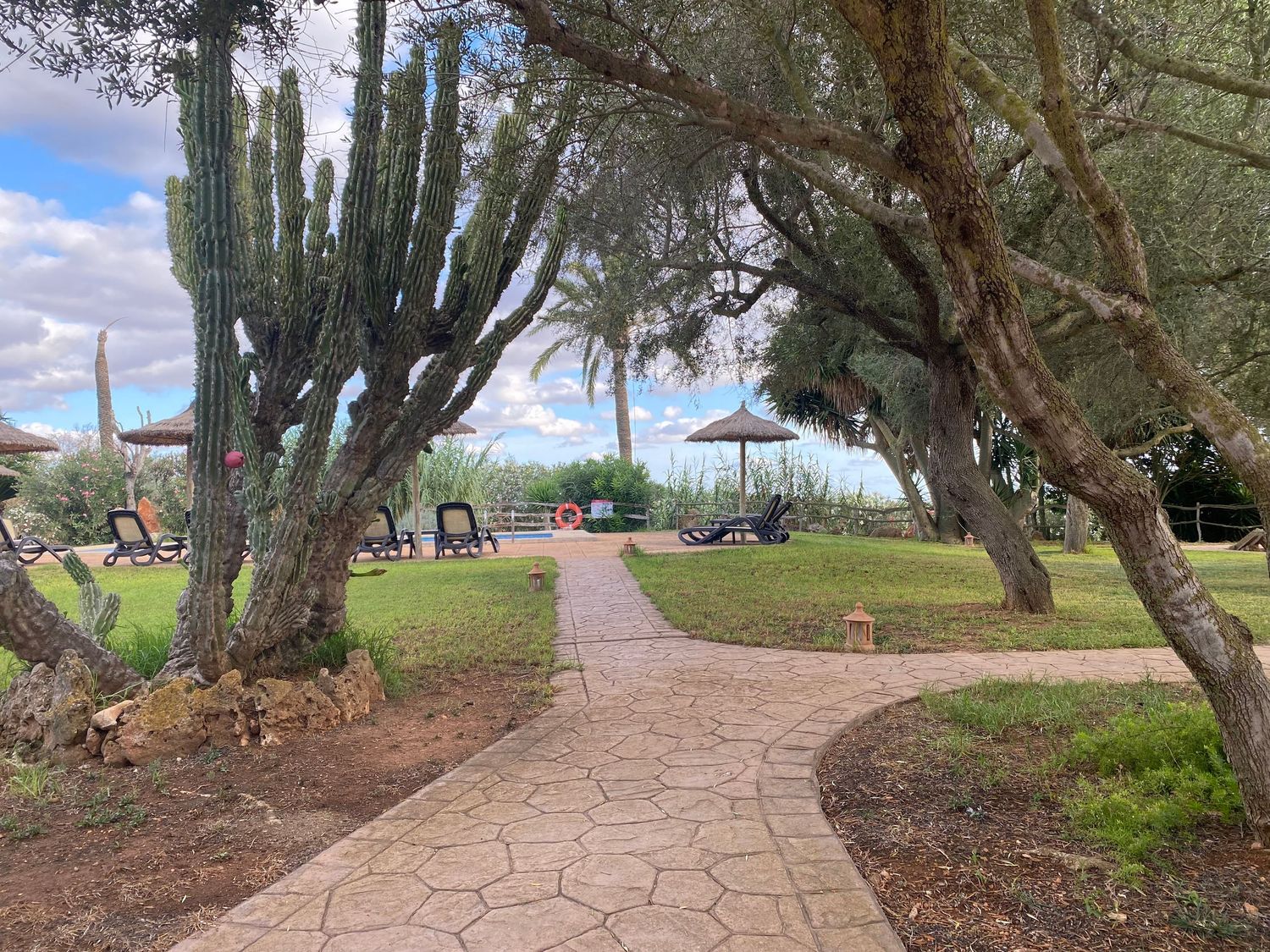Winding garden path lined with tall cacti and trees leading to resort grounds.