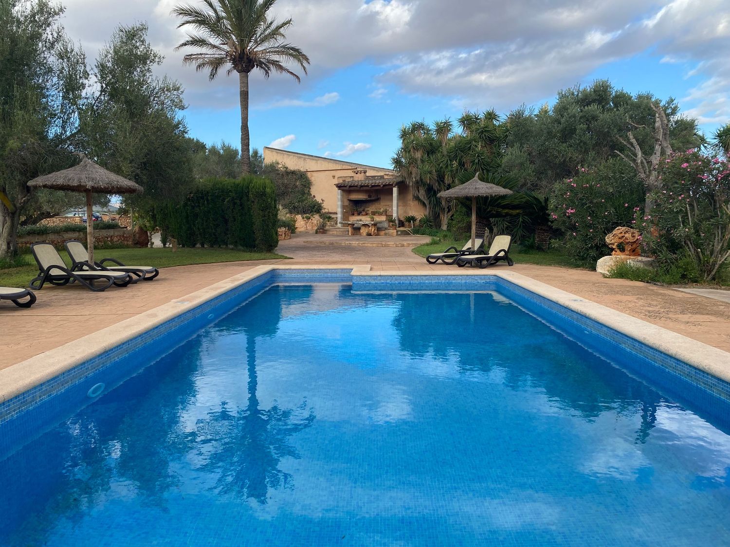 Large swimming pool surrounded by palm trees and lounge chairs at a Mediterranean resort property.