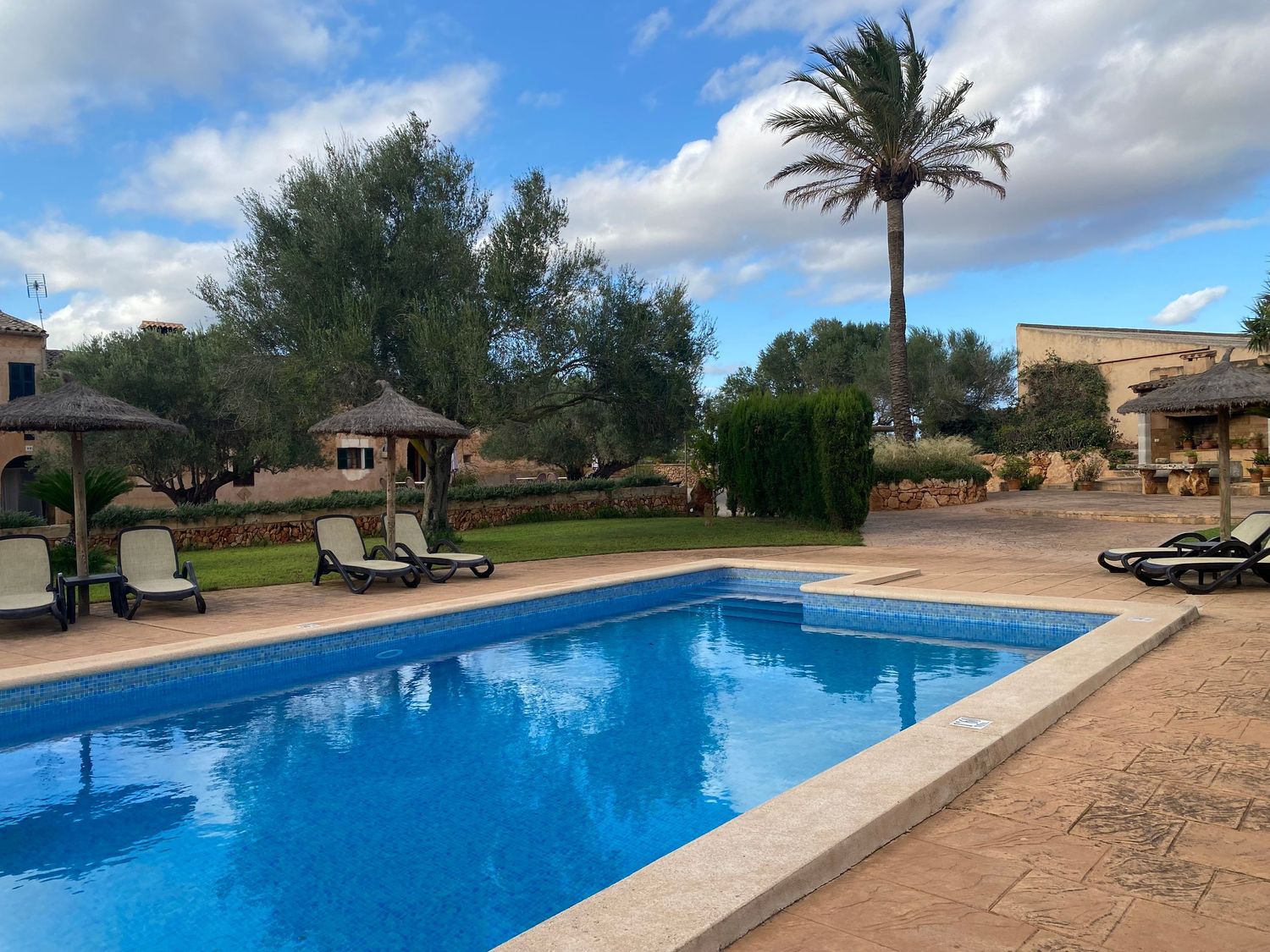 Pristine blue swimming pool with palm trees and lounge chairs at a luxury villa.