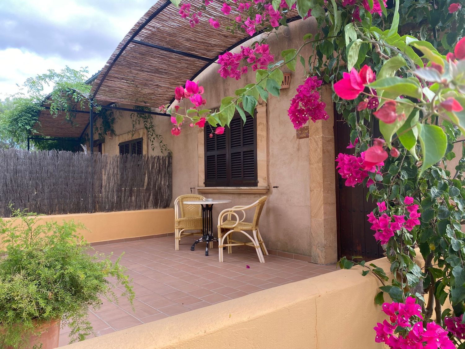 Charming patio with bright pink bougainvillea flowers and rattan furniture.