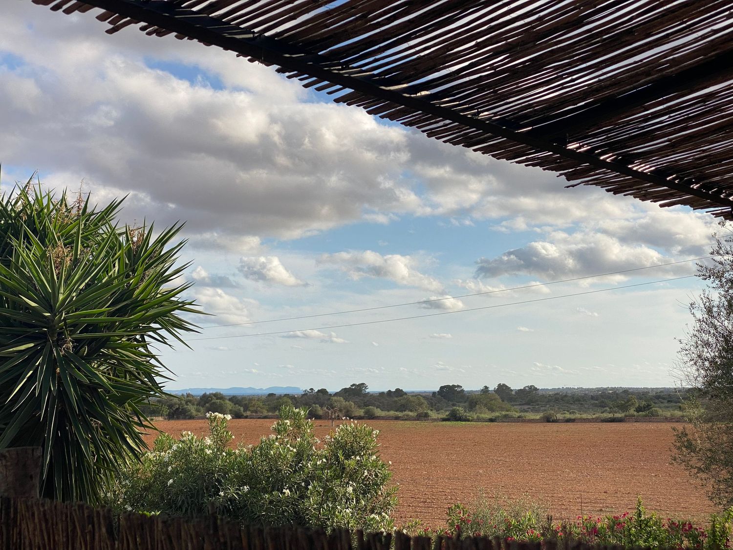 Scenic view of countryside fields and clouds from a covered terrace with Mediterranean plants.