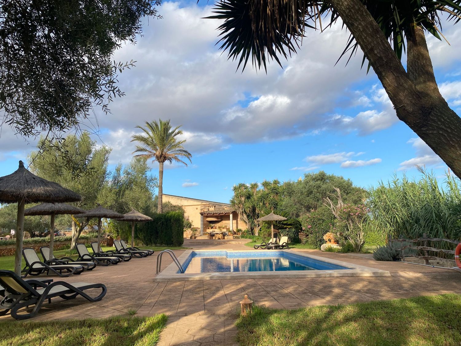 Luxurious swimming pool surrounded by palm trees, sun loungers and thatched umbrellas in a resort setting.