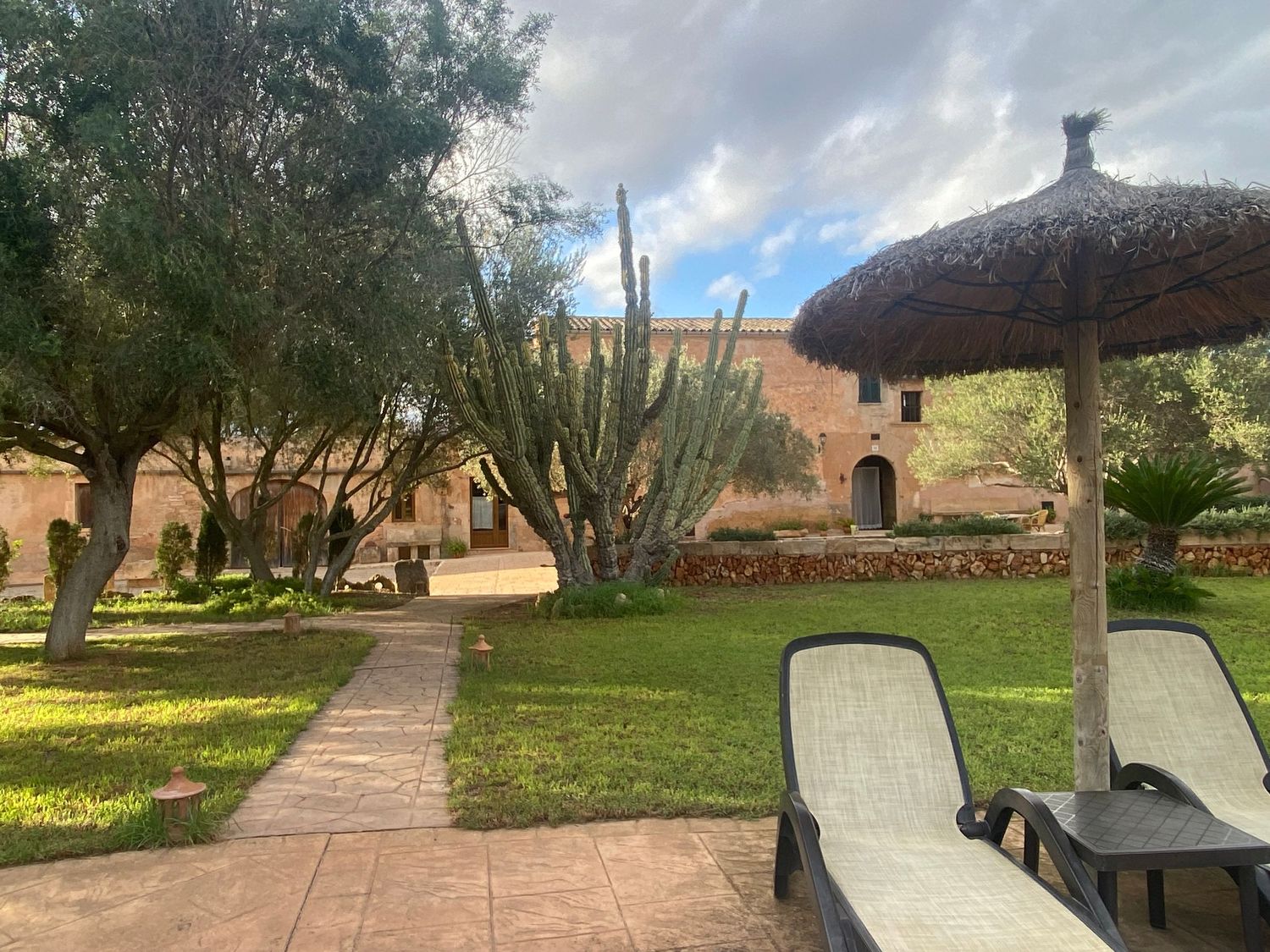 Mediterranean villa garden path with thatched umbrellas and lounge chairs under palm trees.