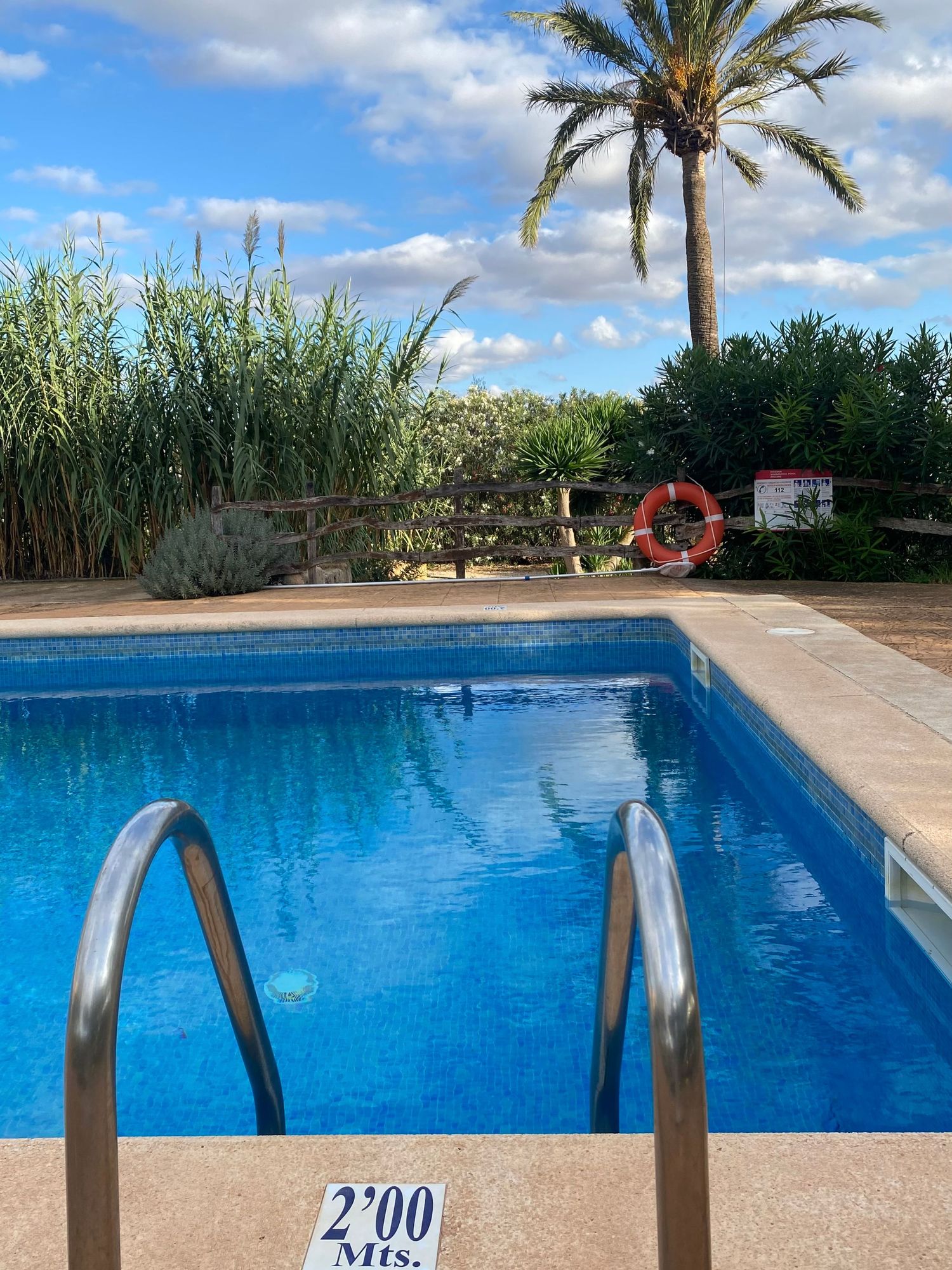 Swimming pool with metal ladder and depth marker surrounded by tropical plants and palm trees.