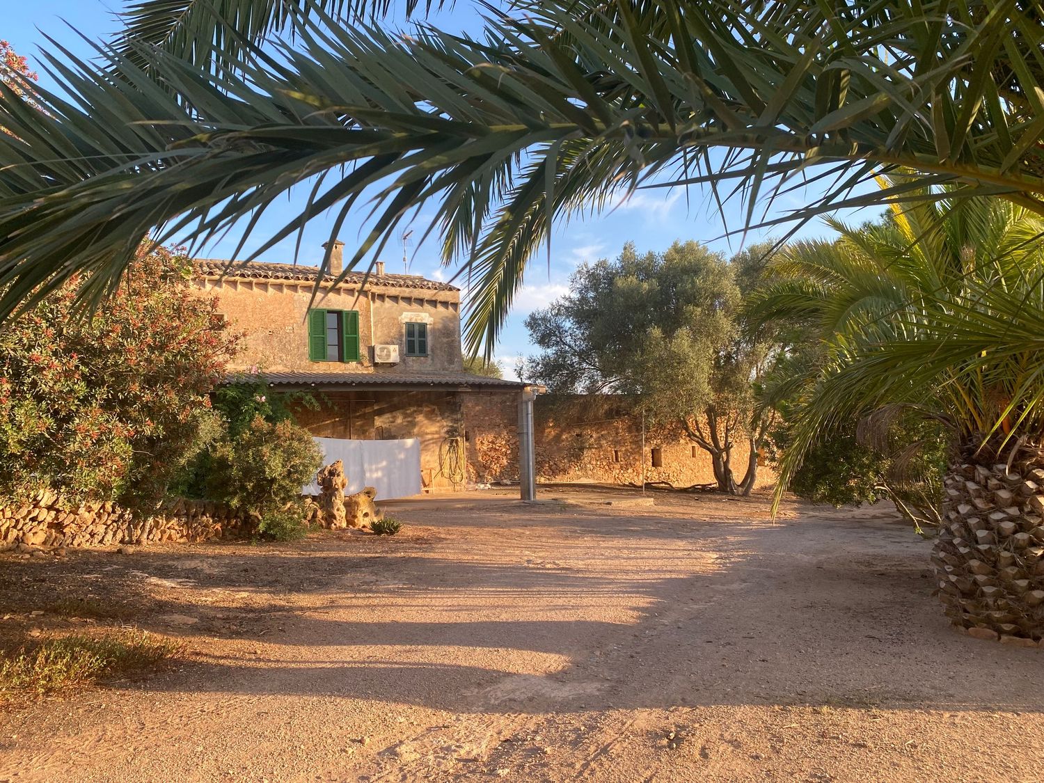 Mediterranean villa with palm trees and sandy pathway leading to rustic stone building.