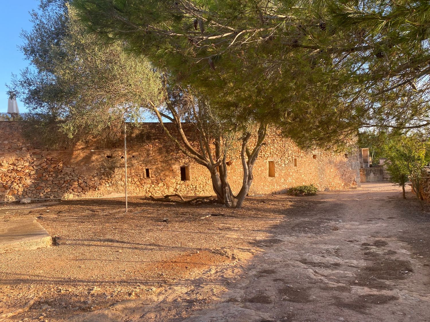 Stone wall and dirt path under large tree branches in Mediterranean landscape.