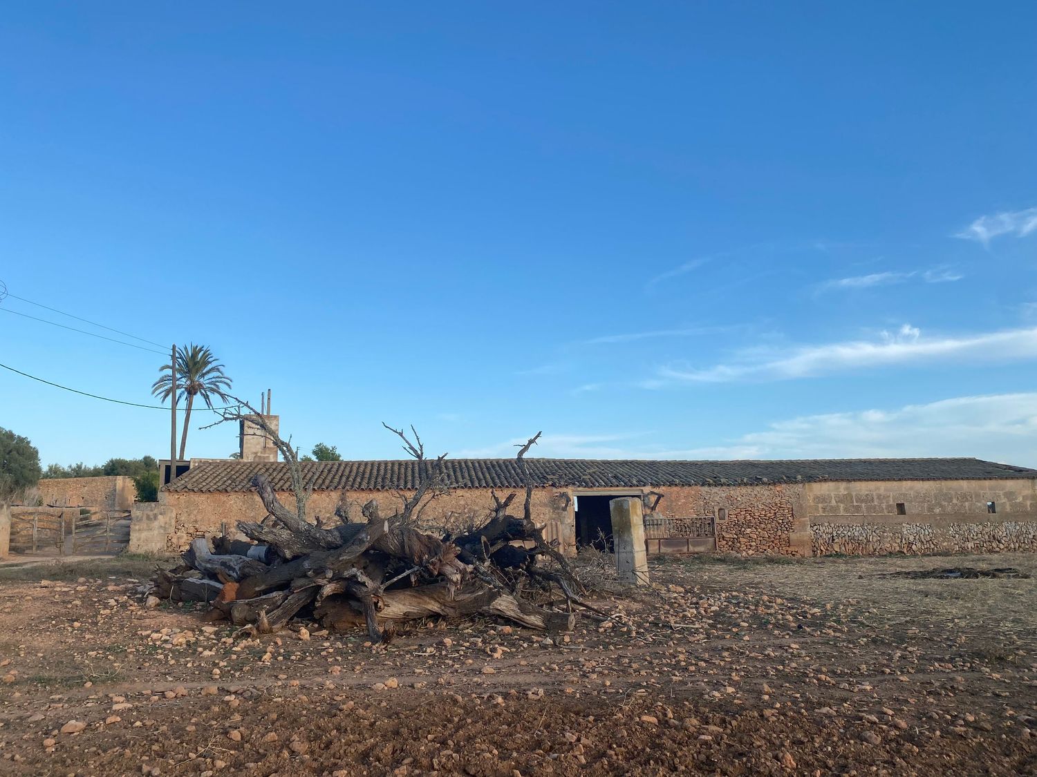 Rural stone building with palm tree and pile of wood debris in foreground.