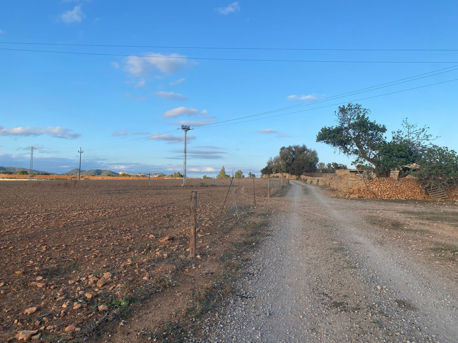 Dirt road through agricultural fields with utility poles and blue sky.