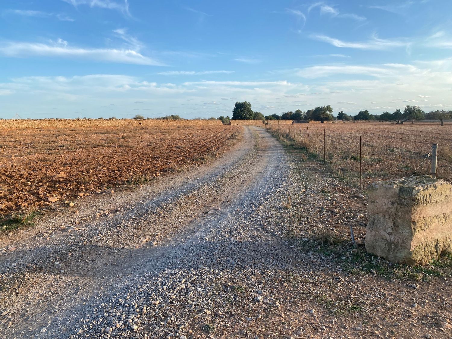 A winding gravel road leads through barren farmland under a bright blue sky with wispy clouds.