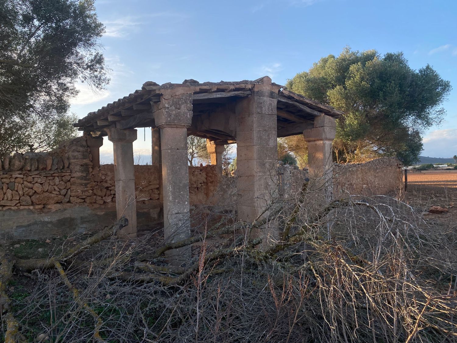 Ruins of an old stone structure with pillars stand among overgrown vegetation in a rural setting.