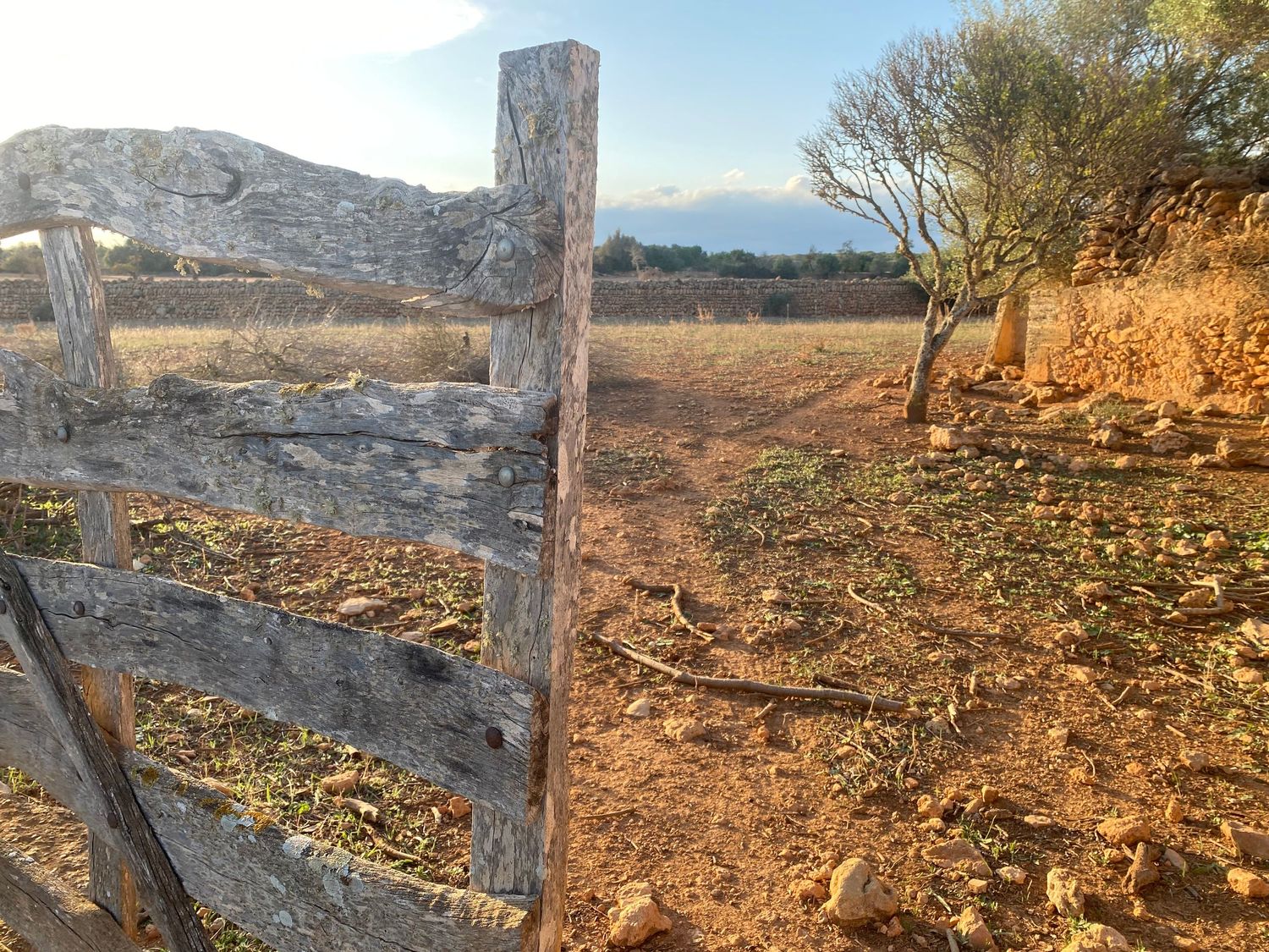 Weathered wooden fence posts frame a dusty rural landscape with mountains in the background.