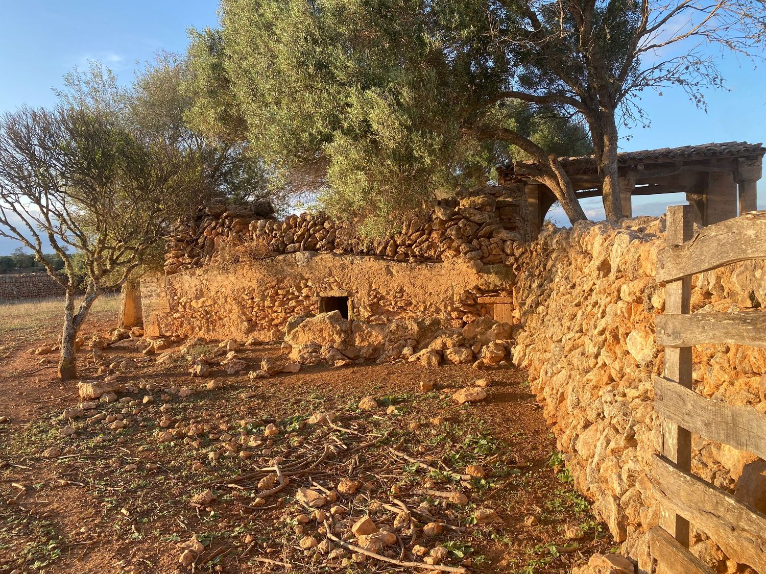 Ancient stone wall terraces with native vegetation on a rural hillside.
