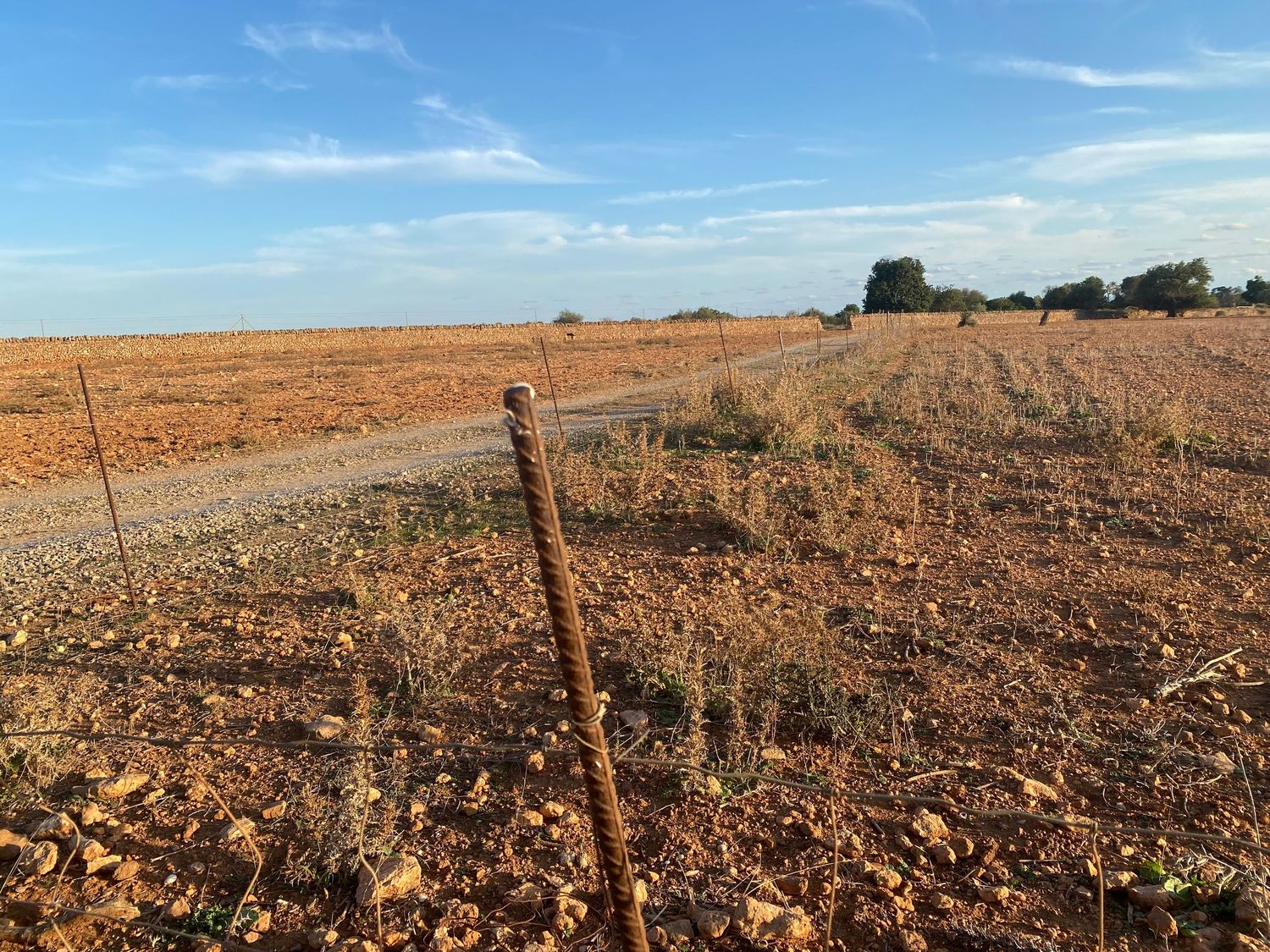 Wooden fence post stands in a freshly plowed field stretching to the horizon.