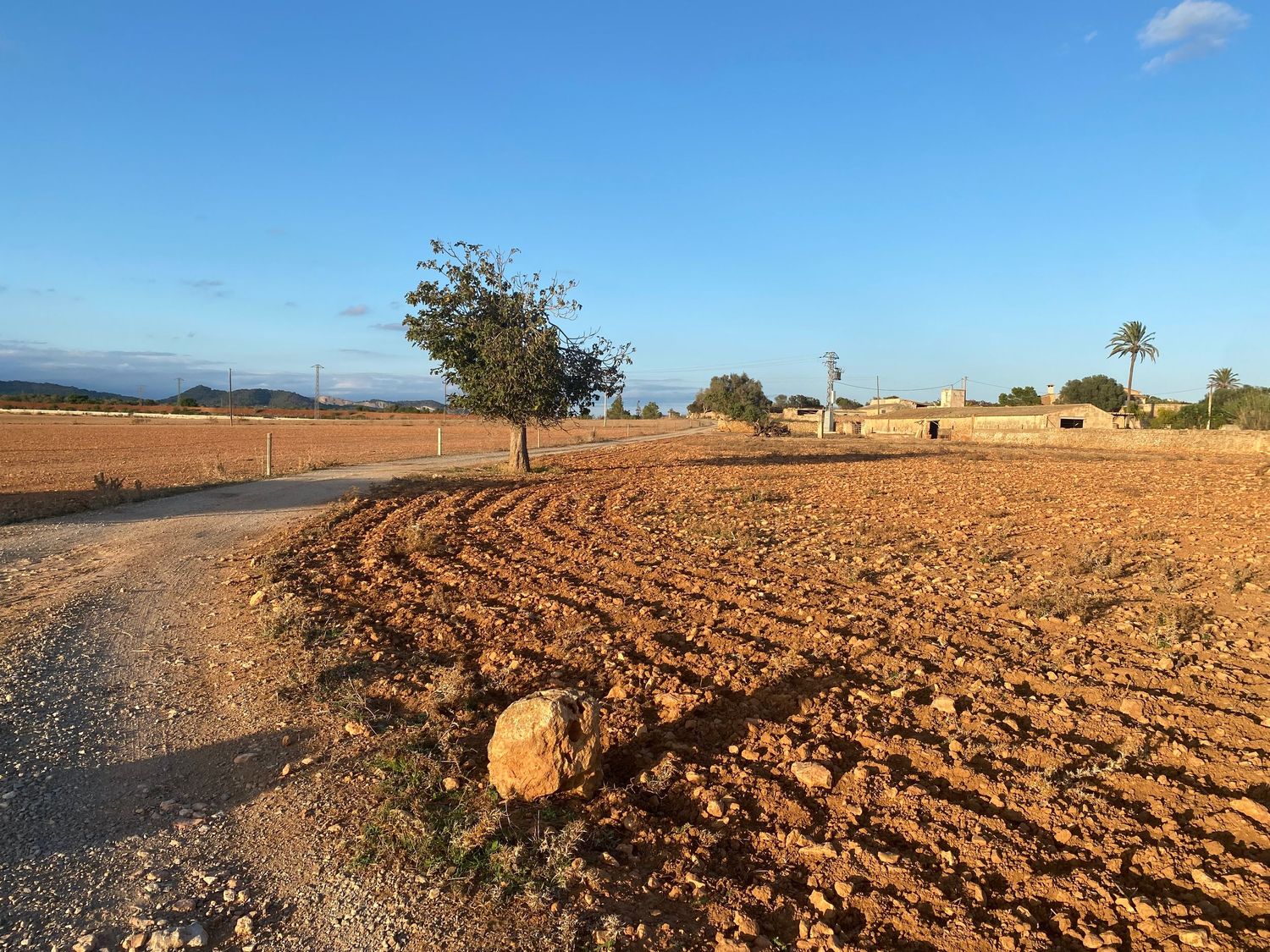 Curved dirt road winds through newly tilled farmland under blue skies.