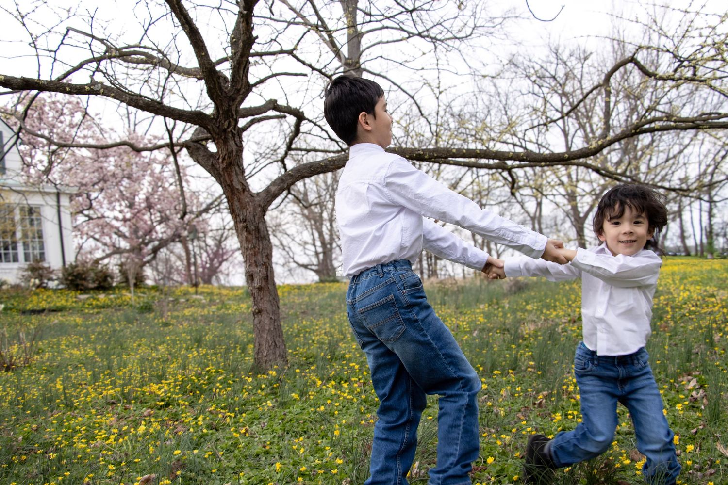Ault Park Cincinnati Photographer captures family with sons candidly playing in a flower field during april. Affordable family photos quick