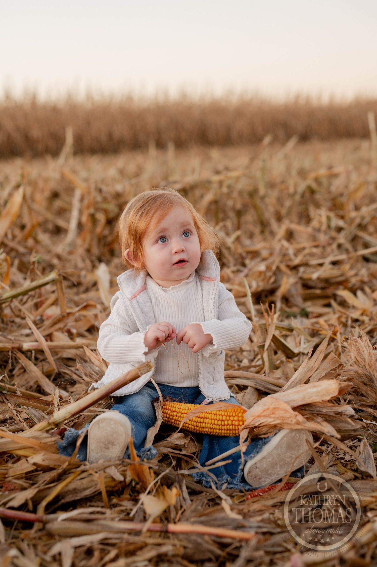 Small child sitting among corn husks and dried stalks in harvested field.