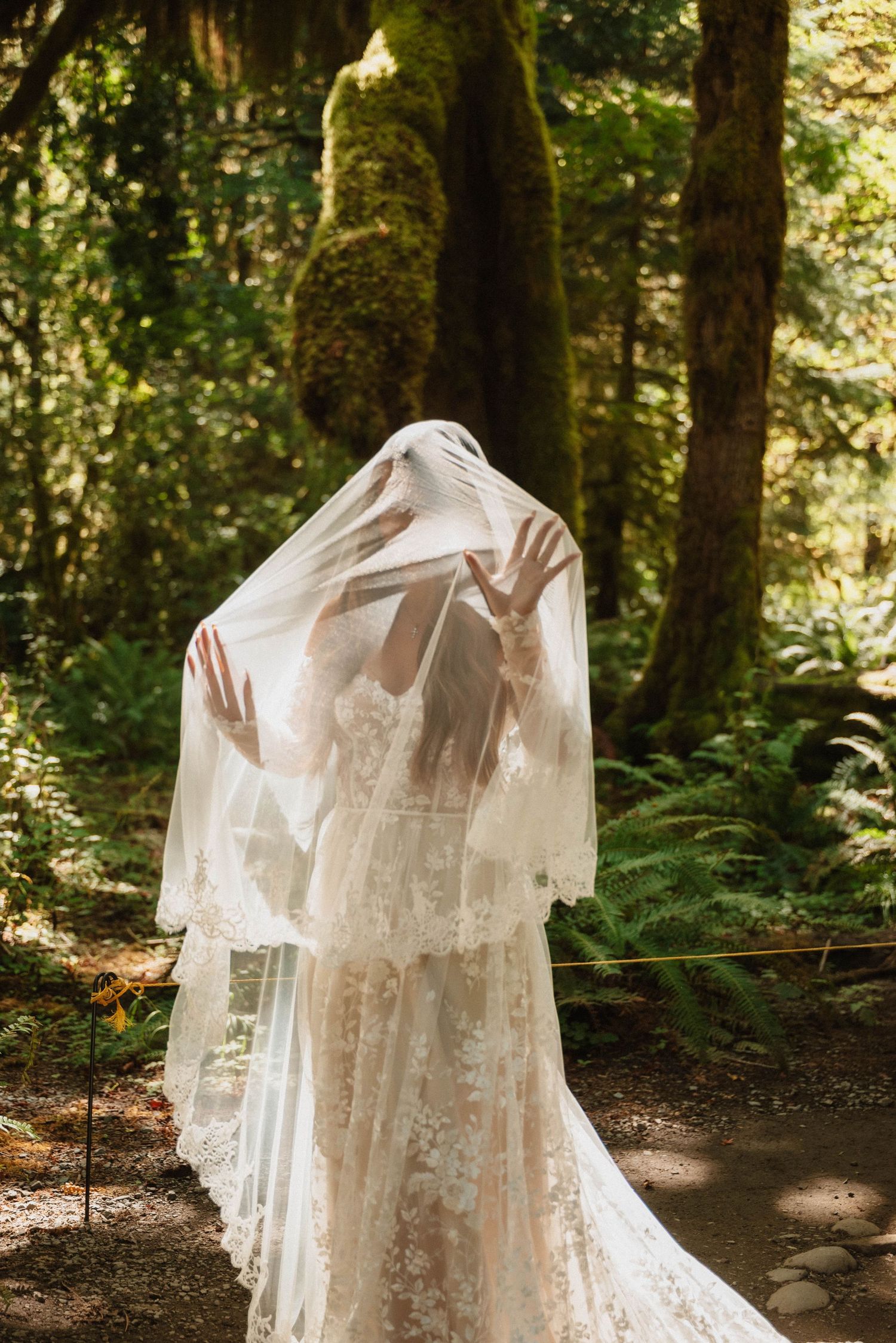 Bride admiring her wedding gown while surrounded by tall moss-covered tress in the hall of Moses in Olympic National Park