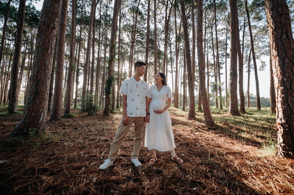 Backlit maternity photo of couple standing among tall pine trees in forest setting.