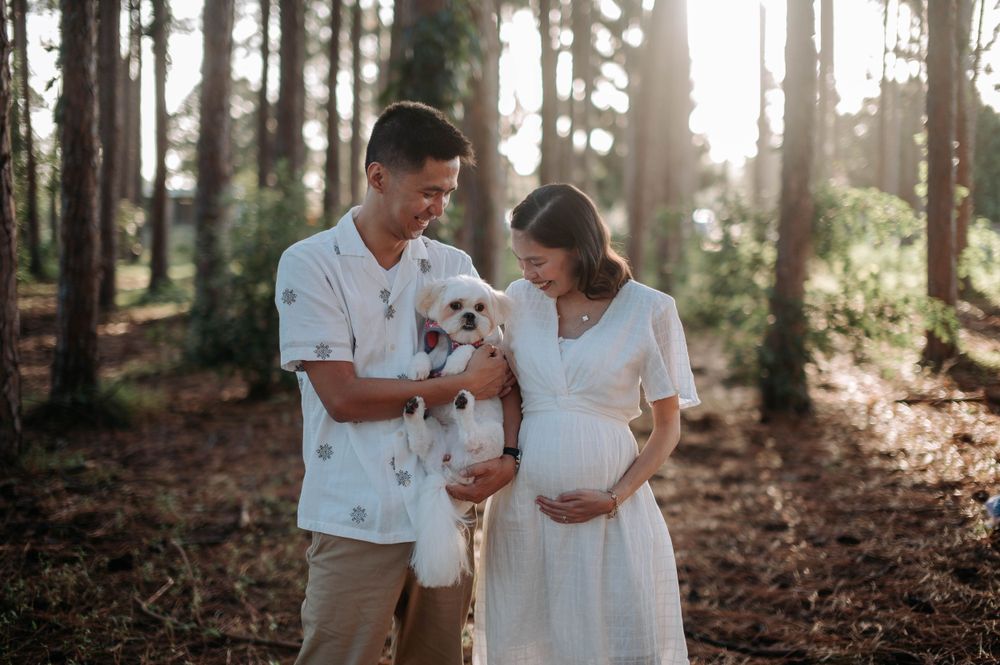 Couple holding small white dog during forest maternity photoshoot.
