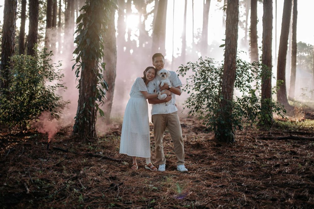 Couple embracing in a misty forest with pink smoke effects creating a dreamy atmosphere.