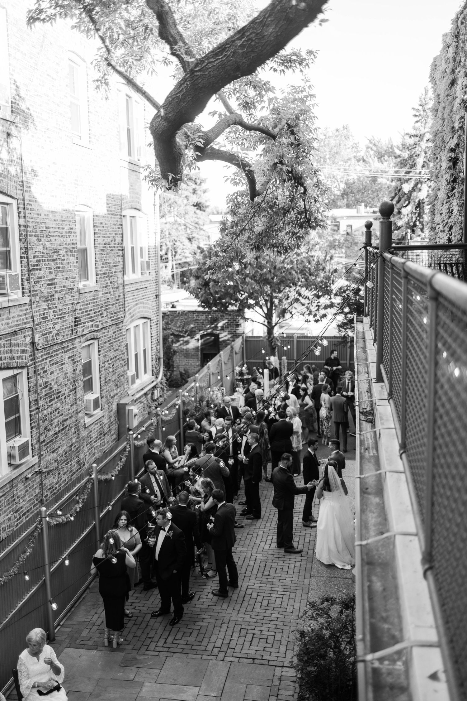 Black and white photo of wedding guests gathering on outdoor terrace beneath large tree branches.