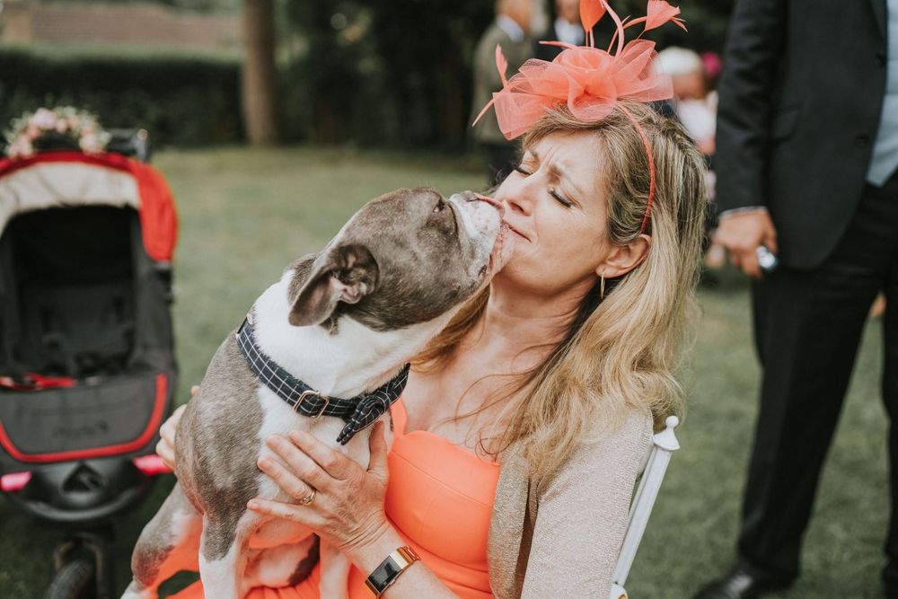 A brown and white pitbull cuddles and gives kisses to someone wearing a coral tank top and beige cardigan outdoors.