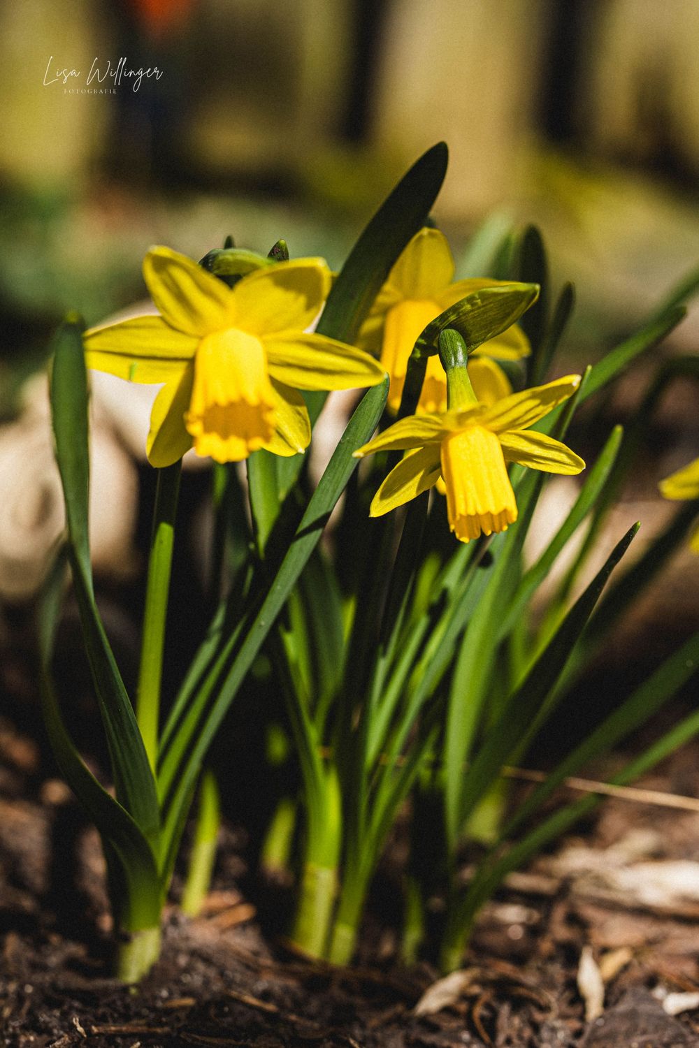 Naturfotografie