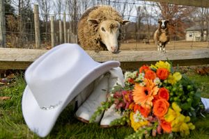 Collage of farm animals and floral arrangements featuring horses, sheep, and colorful bouquets with orange and yellow flowers.