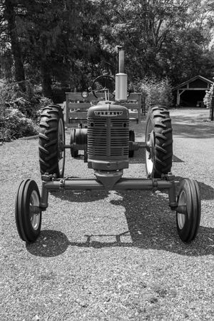 Vintage Farmall tractor displayed at rustic wedding venue.
