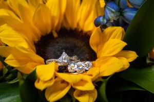 Diamond engagement ring nestled in center of bright yellow sunflower.