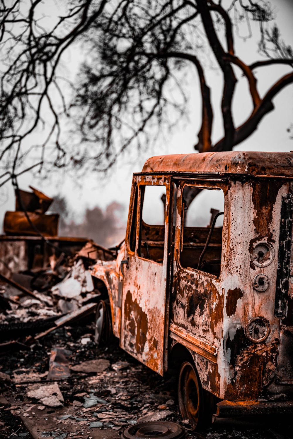 Rusted shell of an abandoned vintage vehicle against bare tree branches.