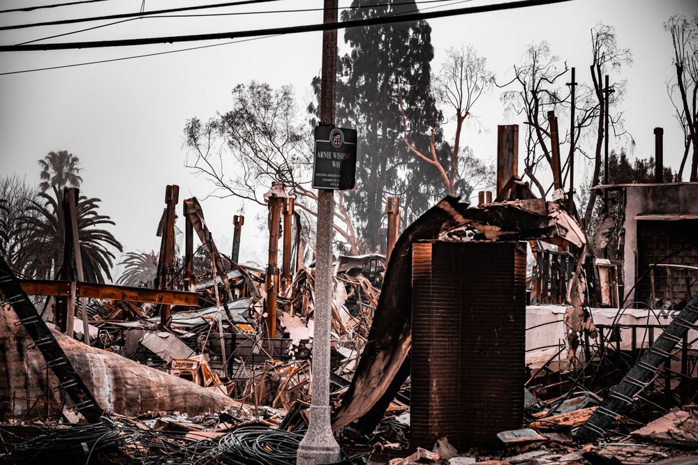 Burned residential area with fallen power lines and destroyed structures.