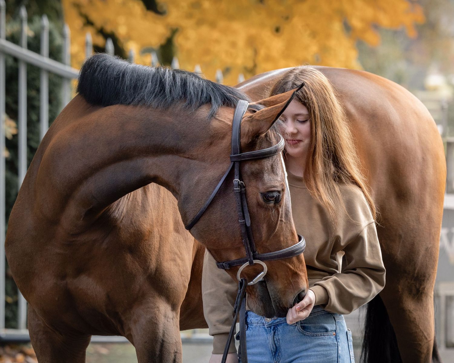 Horse and rider equestrian portrait session in Wilsonville, Oregon. Fall photoshoot for equestrian decor. Copyright Amanda Barr Photography