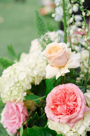 D'Vine Grace Vineyard McKinney TX  Dallas Fort Worth wedding venue first look spring wedding wedding dress outdoors ceremony bridal party
