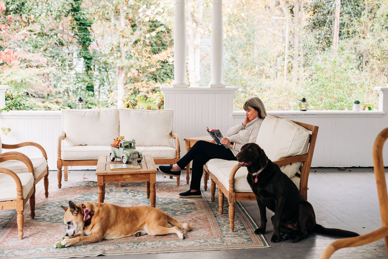 A person relaxes on a porch sofa with two dogs, one black and one brown, in a serene outdoor setting.