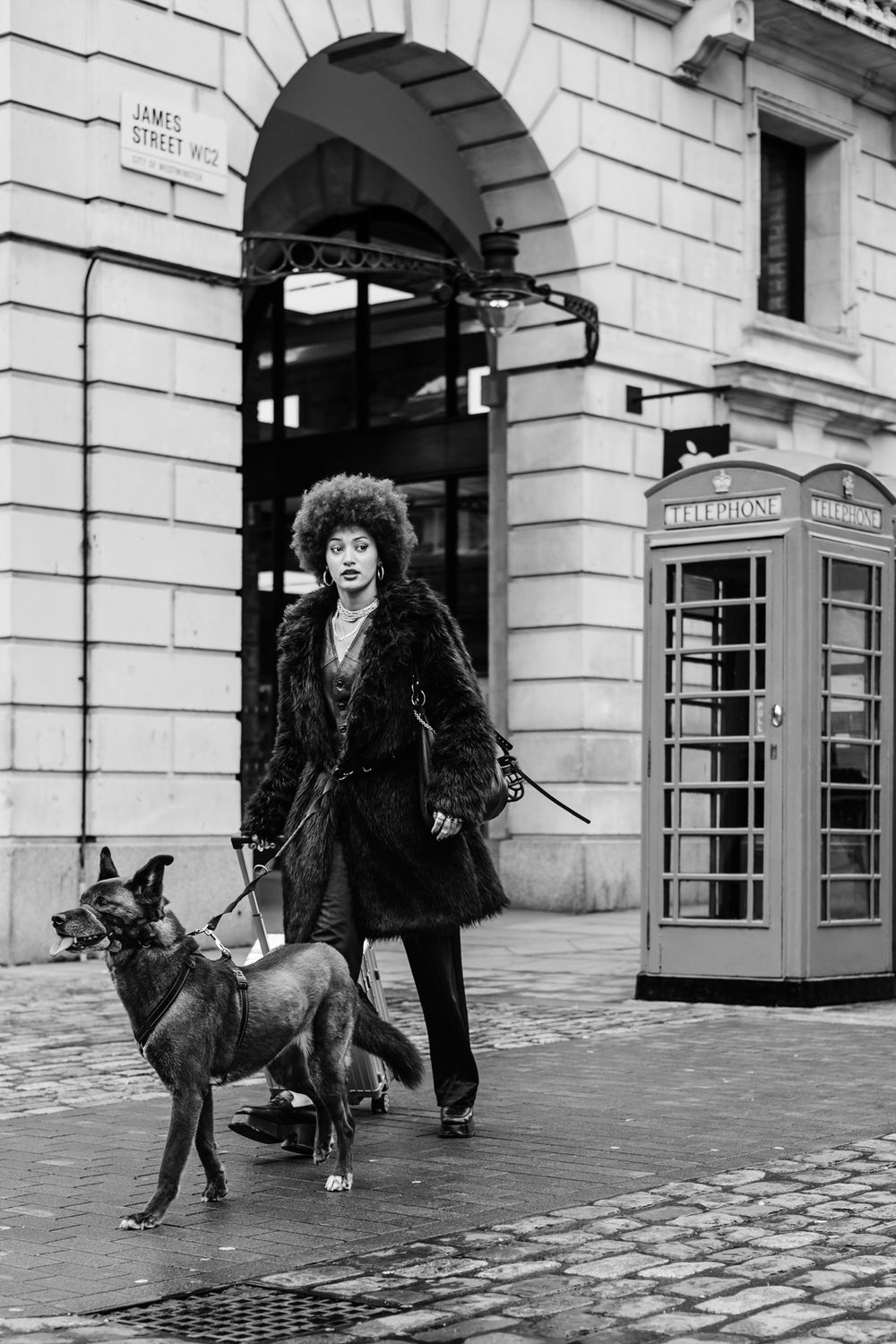 A black and white photo sequence shows a person in dark clothing walking a dog on a city street with phone booths.