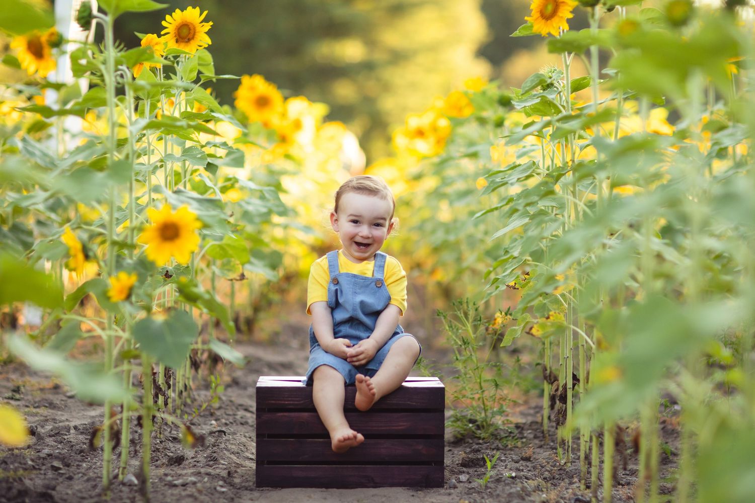 Holiday mini sessions
