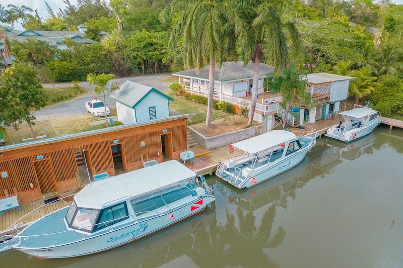 Boats docked at a waterfront marina with blue buildings and palm trees in a tropical setting.