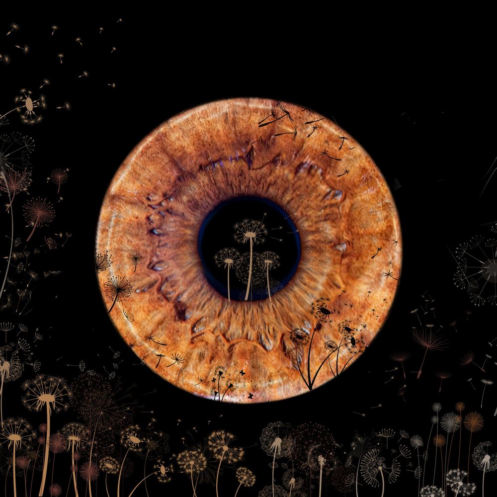 Close-up iris photography artwork captured by Nicola in Woodside, Glenrothes. Detailed macro image of a human eye showing unique natural pat