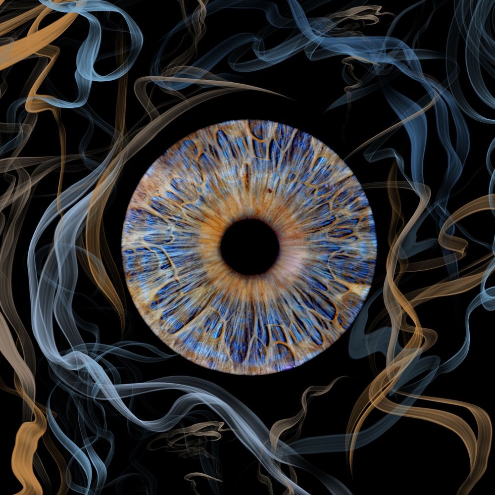 Close-up iris photography artwork captured by Nicola in Woodside, Glenrothes. Detailed macro image of a human eye showing unique natural pat