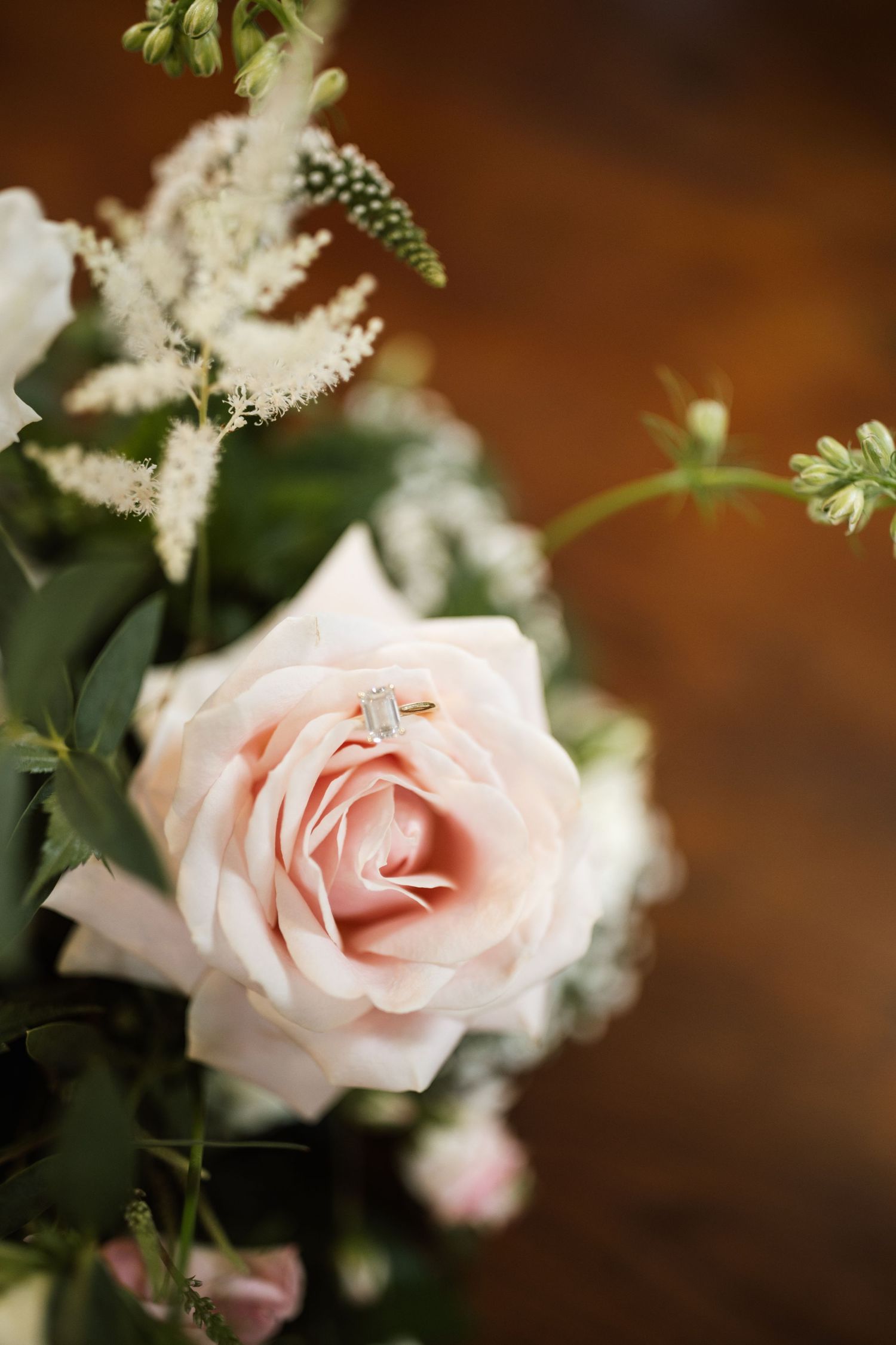 A delicate pale pink rose bloom with soft petals surrounded by white flowers and greenery against a brown background.