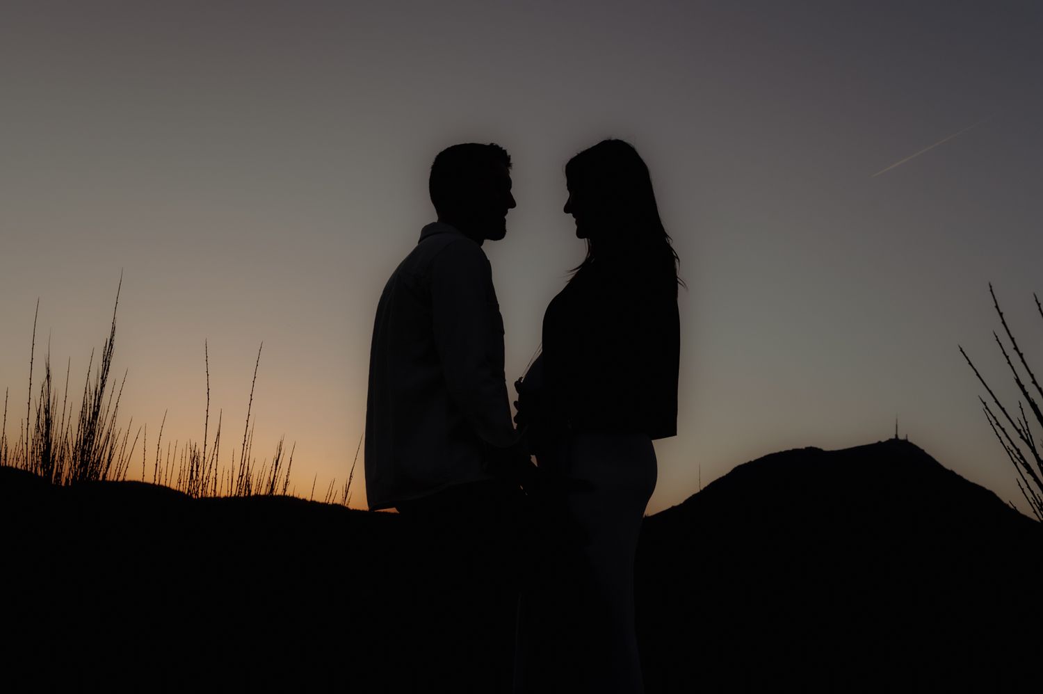 Silhouetted couple standing close together against a sunset sky with tall grass in the background.