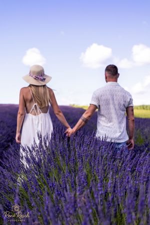 Couple holding hands while walking through blooming purple lavender field under blue summer sky.