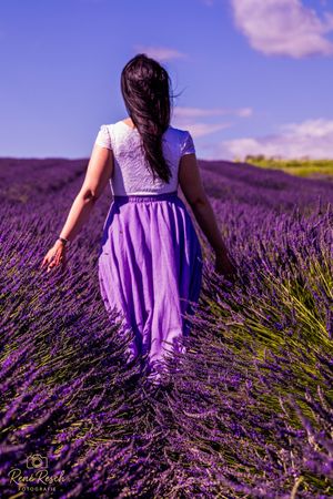 A figure in a flowing purple dress walks through vibrant rows of blooming lavender fields under a blue summer sky.